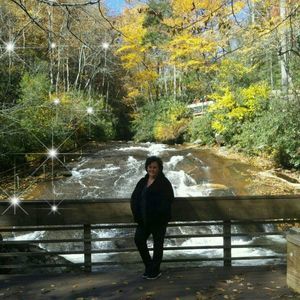 Meet your Posher, Donna